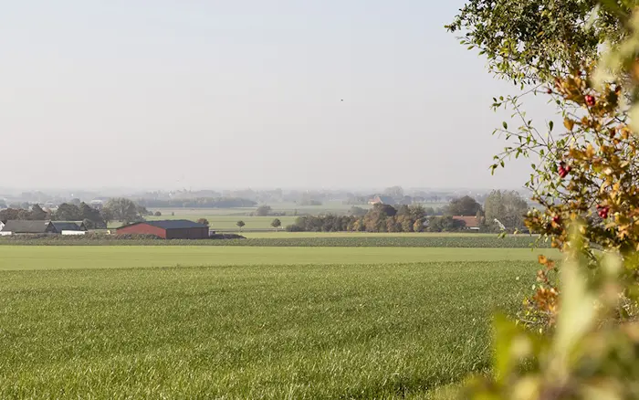 Utsikt över landsbygd me gröna fält med gårdar långt bort