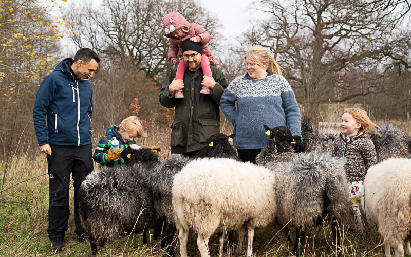 Adam Jomaa från Kraftringen tillsammans med Per och Emelie, deras barn och en skock får som kommer att beta på marken under solcellerna i Kraftringens första solcellspark.